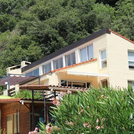 Mas Solar D'En Malcion Villa Amélie-les-Bains-Palalda Eksteriør billede