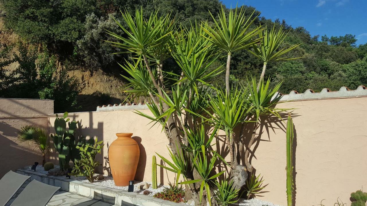 Mas Solar D'En Malcion Villa Amélie-les-Bains-Palalda Eksteriør billede